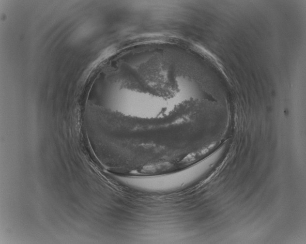 X0000068891411200605051346