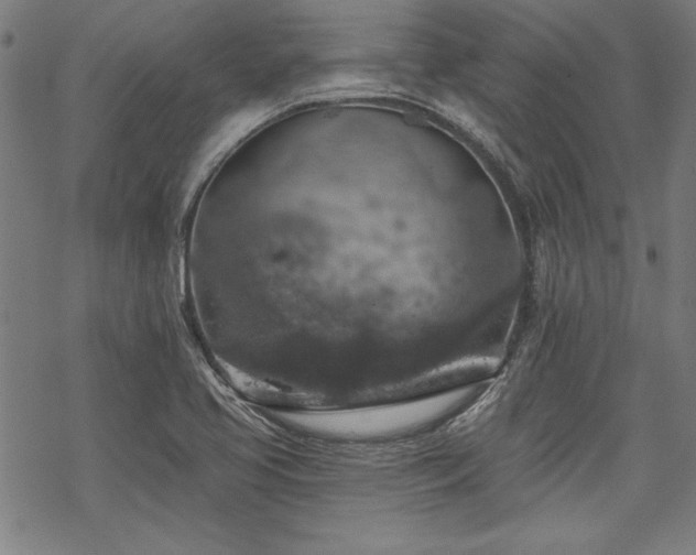 X0000068891413200605051346