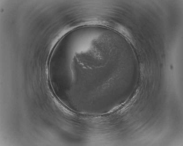 X0000068891428200605051346