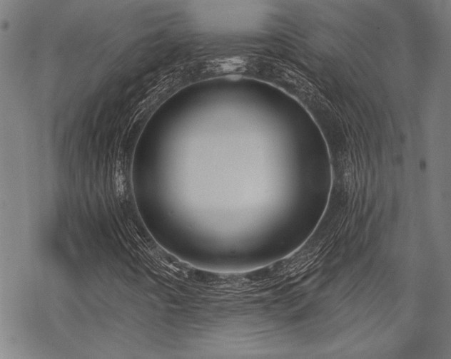 X0000068891442200605051345