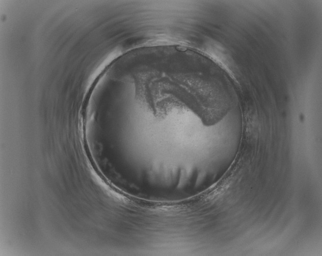 X0000068891476200605051345