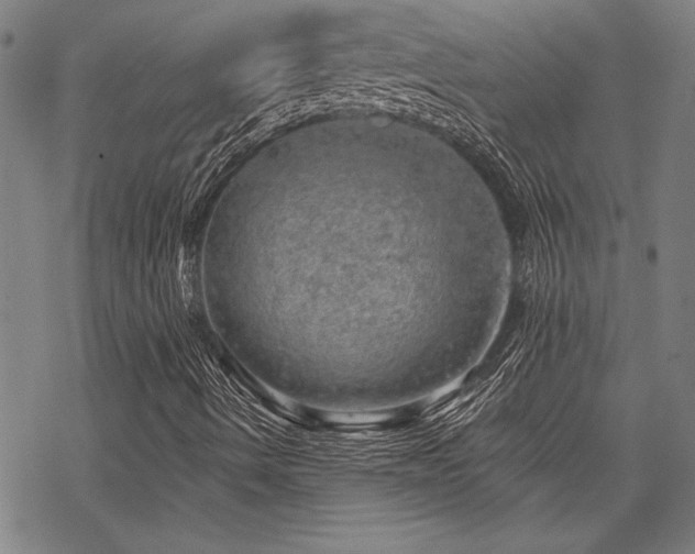 X0000068891490200605051344