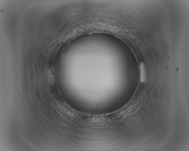 X0000068891491200605051344
