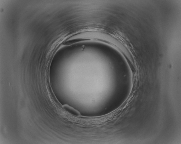 X0000068890001200605081332