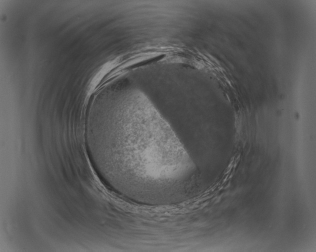 X0000068890003200605081331