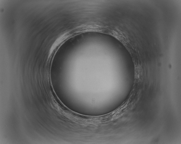 X0000068890004200605081331