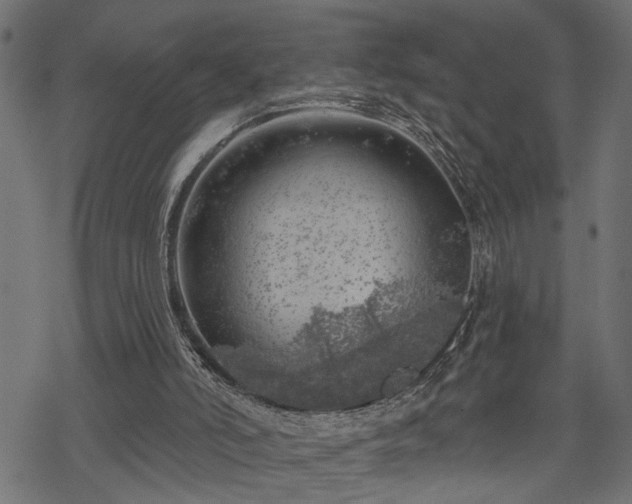 X0000068890006200605081331