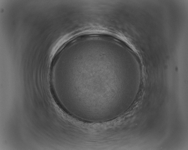 X0000068890007200605081331