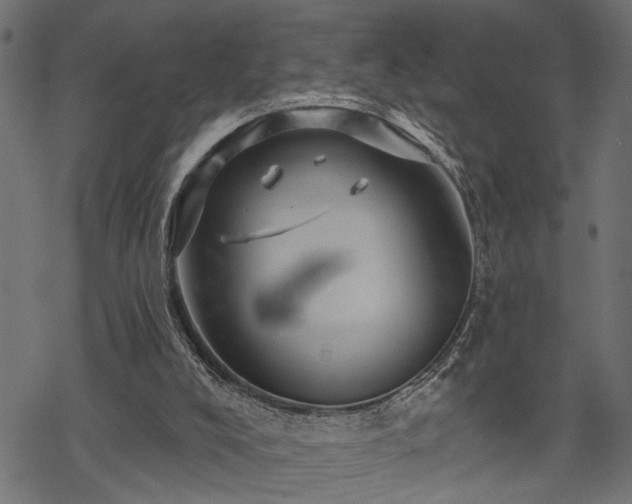 X0000068890008200605081331