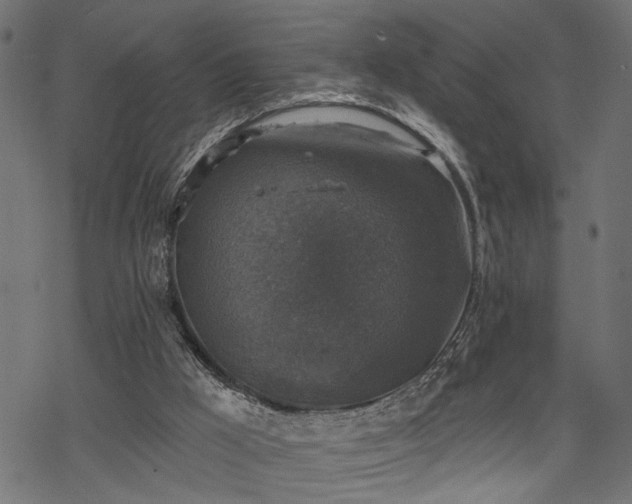 X0000068890009200605081331