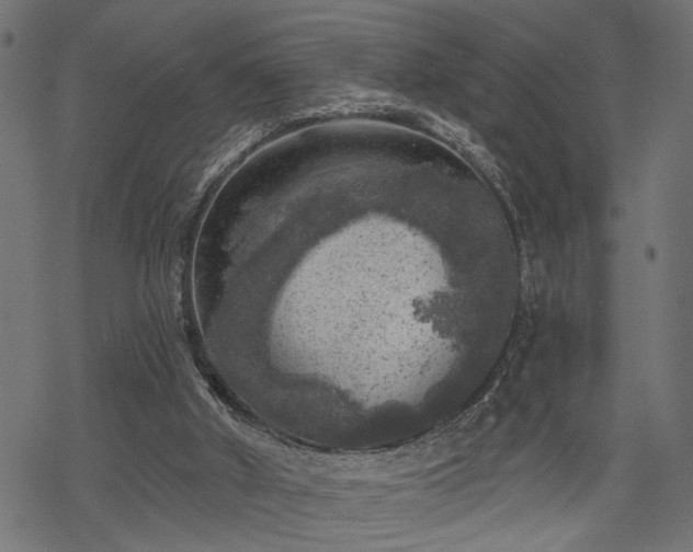 X0000068890010200605081331