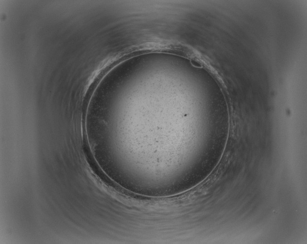 X0000068890011200605081331