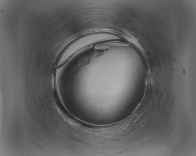 X0000068890013200605081331