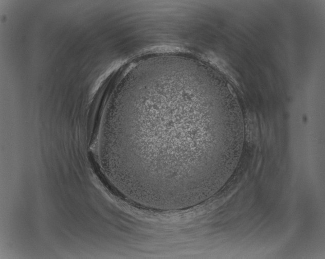 X0000068890015200605081331