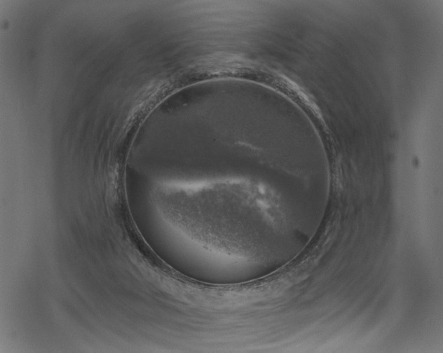 X0000068890018200605081331