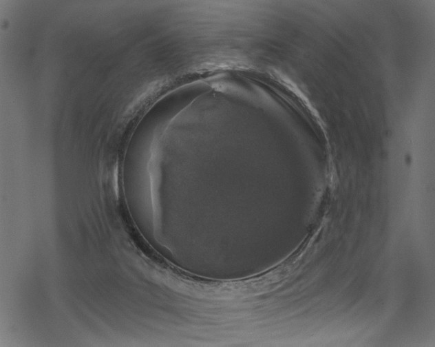 X0000068890019200605081331