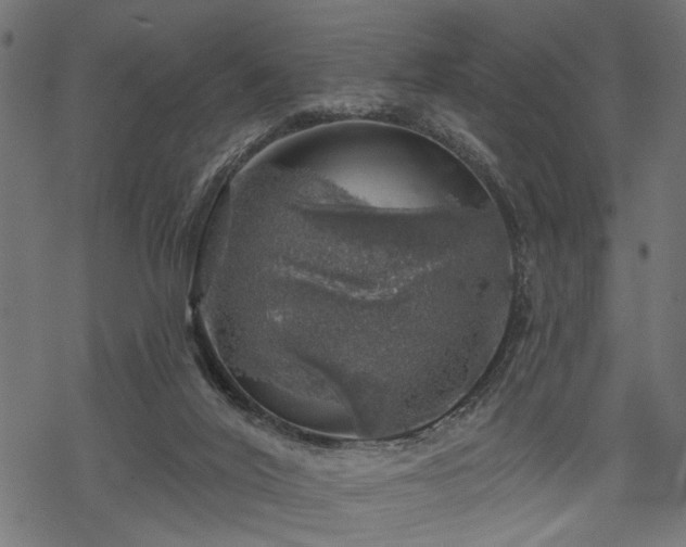 X0000068890020200605081331