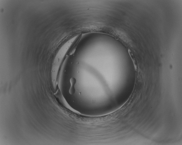 X0000068890021200605081331