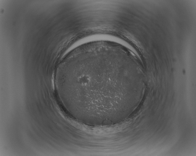 X0000068890022200605081331