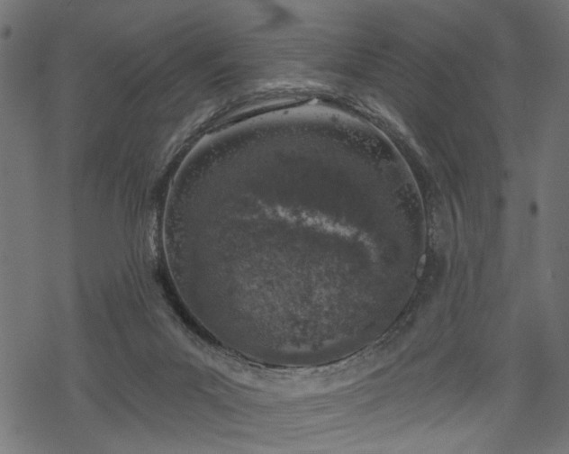 X0000068890023200605081331