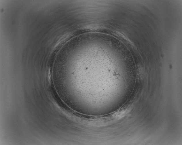 X0000068890024200605081331