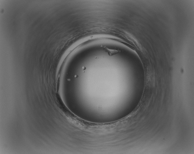 X0000068890025200605081331