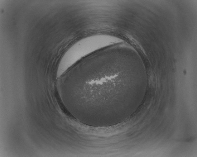 X0000068890026200605081331