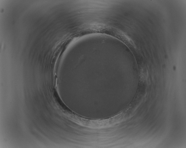 X0000068890027200605081331