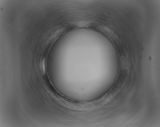 X0000068890028200605081331