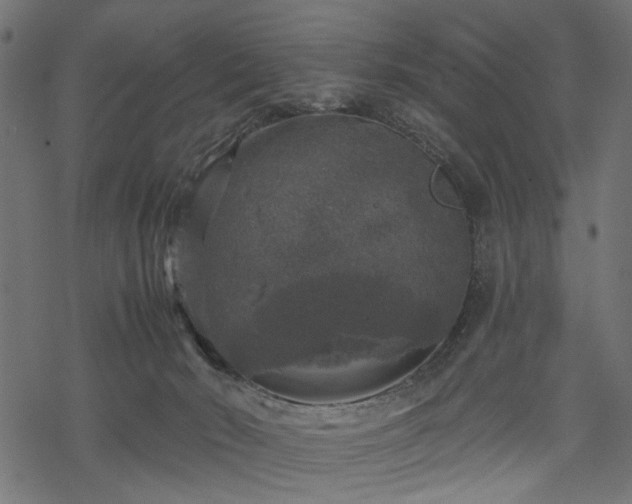 X0000068890030200605081331