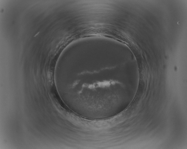 X0000068890031200605081331