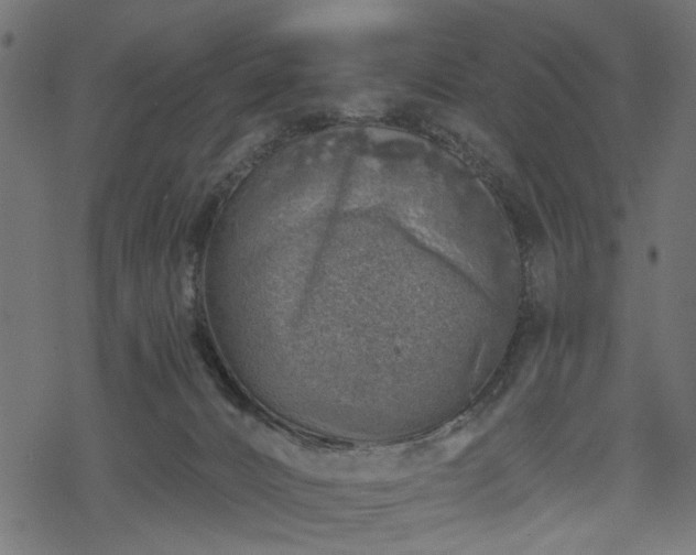 X0000068890032200605081331