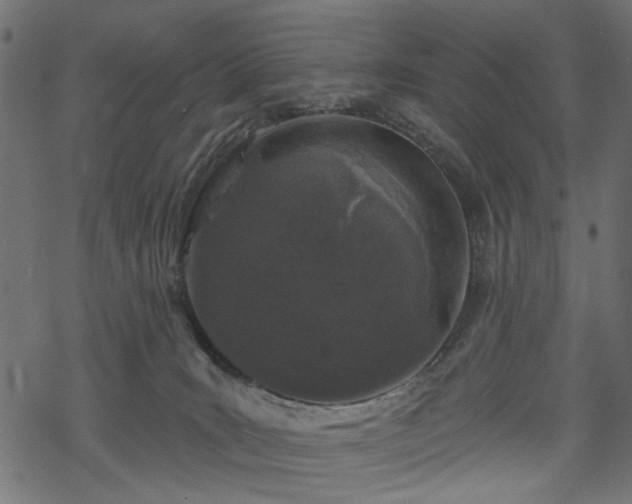 X0000068890035200605081331