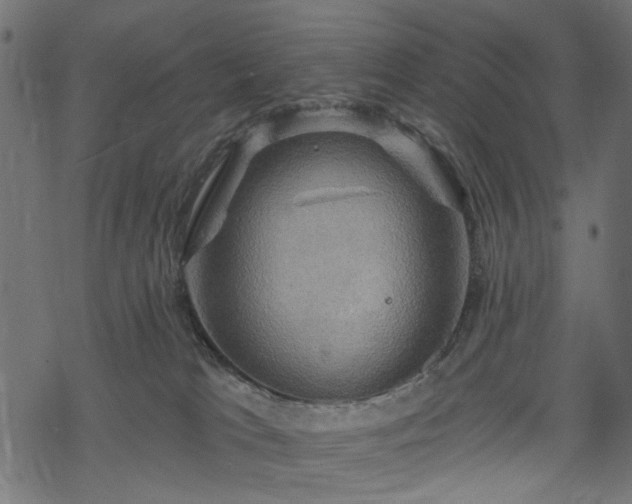 X0000068890037200605081331