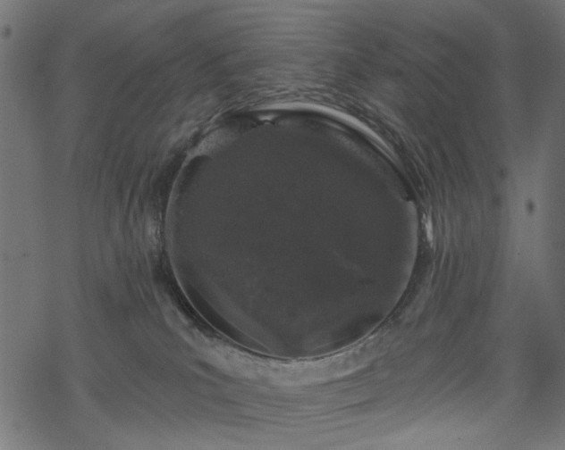 X0000068890039200605081331