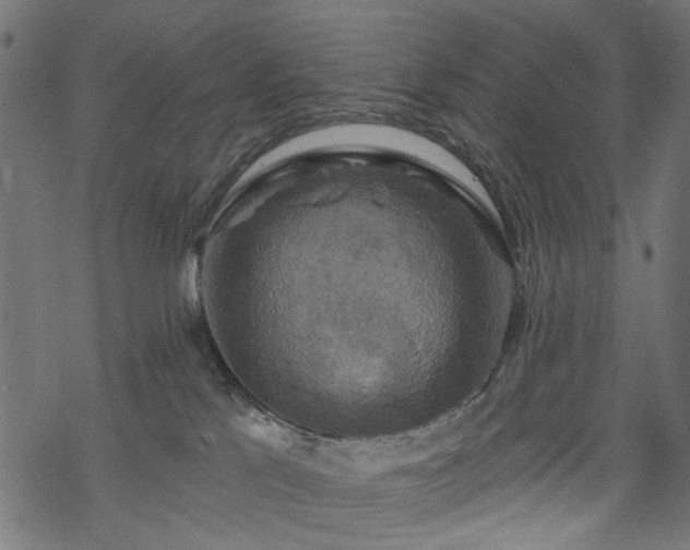 X0000068890041200605081331