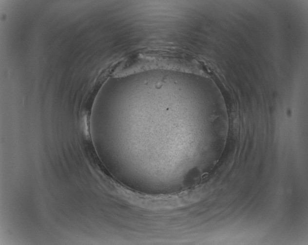 X0000068890042200605081331