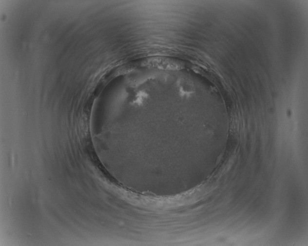 X0000068890043200605081331