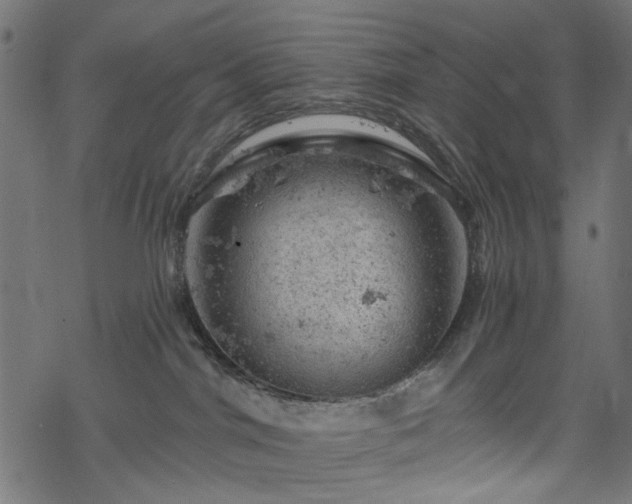 X0000068890044200605081331