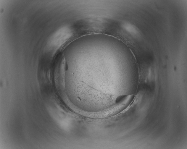 X0000068890045200605081331