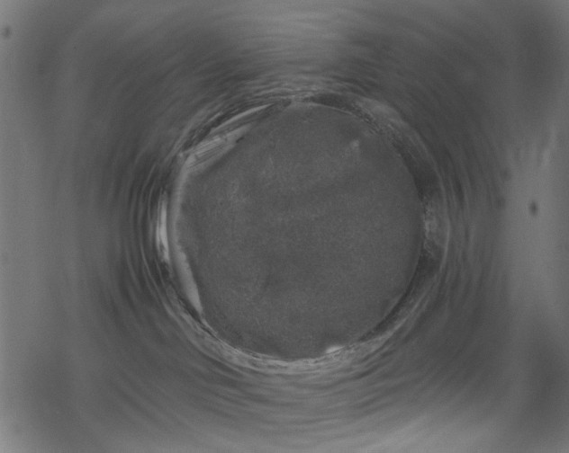 X0000068890046200605081331