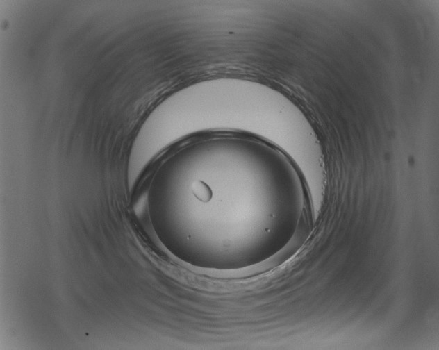 X0000068890047200605081331