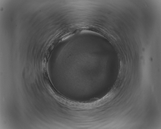 X0000068890048200605081331