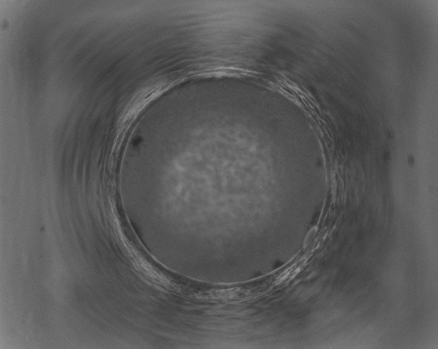 X0000068890049200605081330