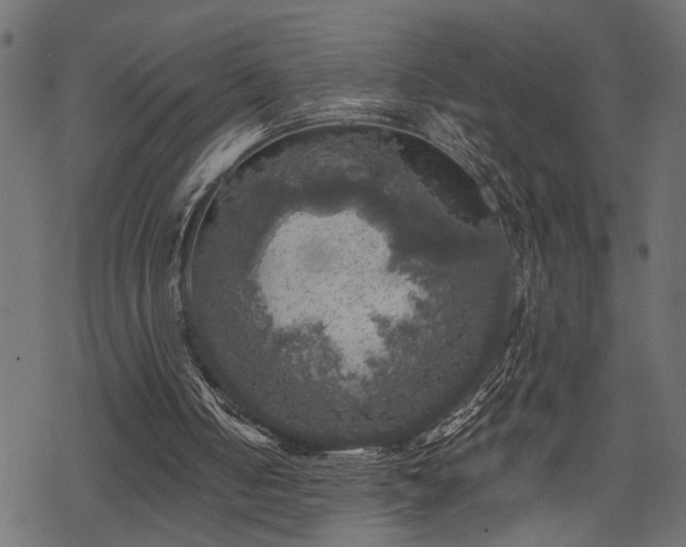 X0000068890050200605081330