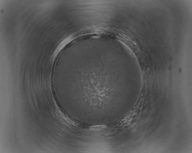 X0000068890051200605081330