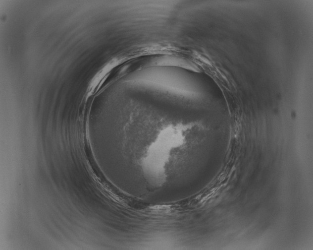 X0000068890052200605081330