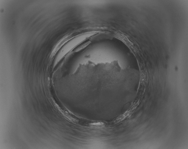 X0000068890053200605081330