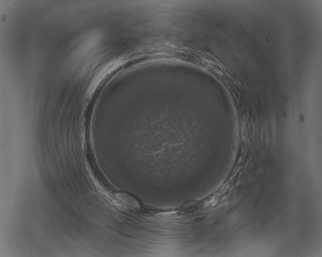 X0000068890054200605081330