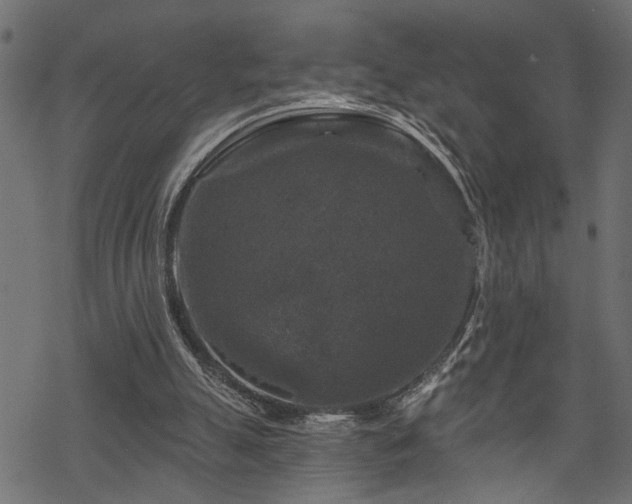 X0000068890055200605081330